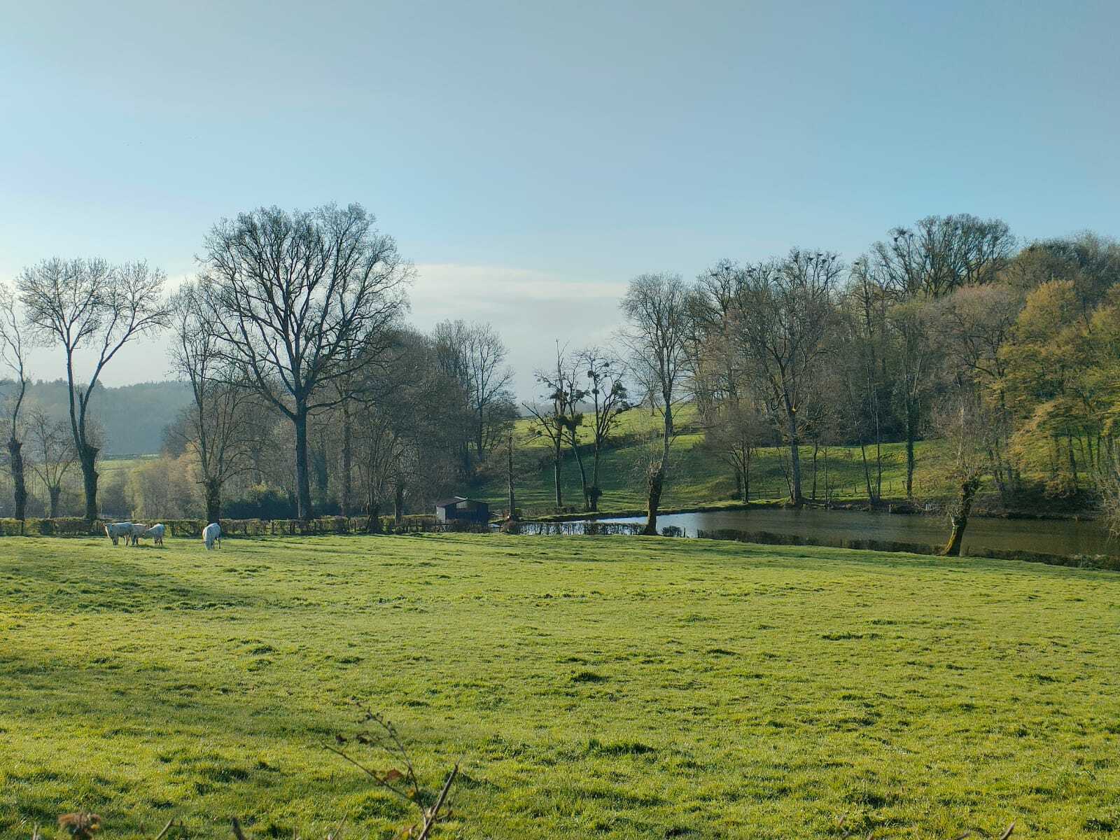 JEUDI 23 AVRIL : ST CHRISTOPHE EN BRIONNAIS
