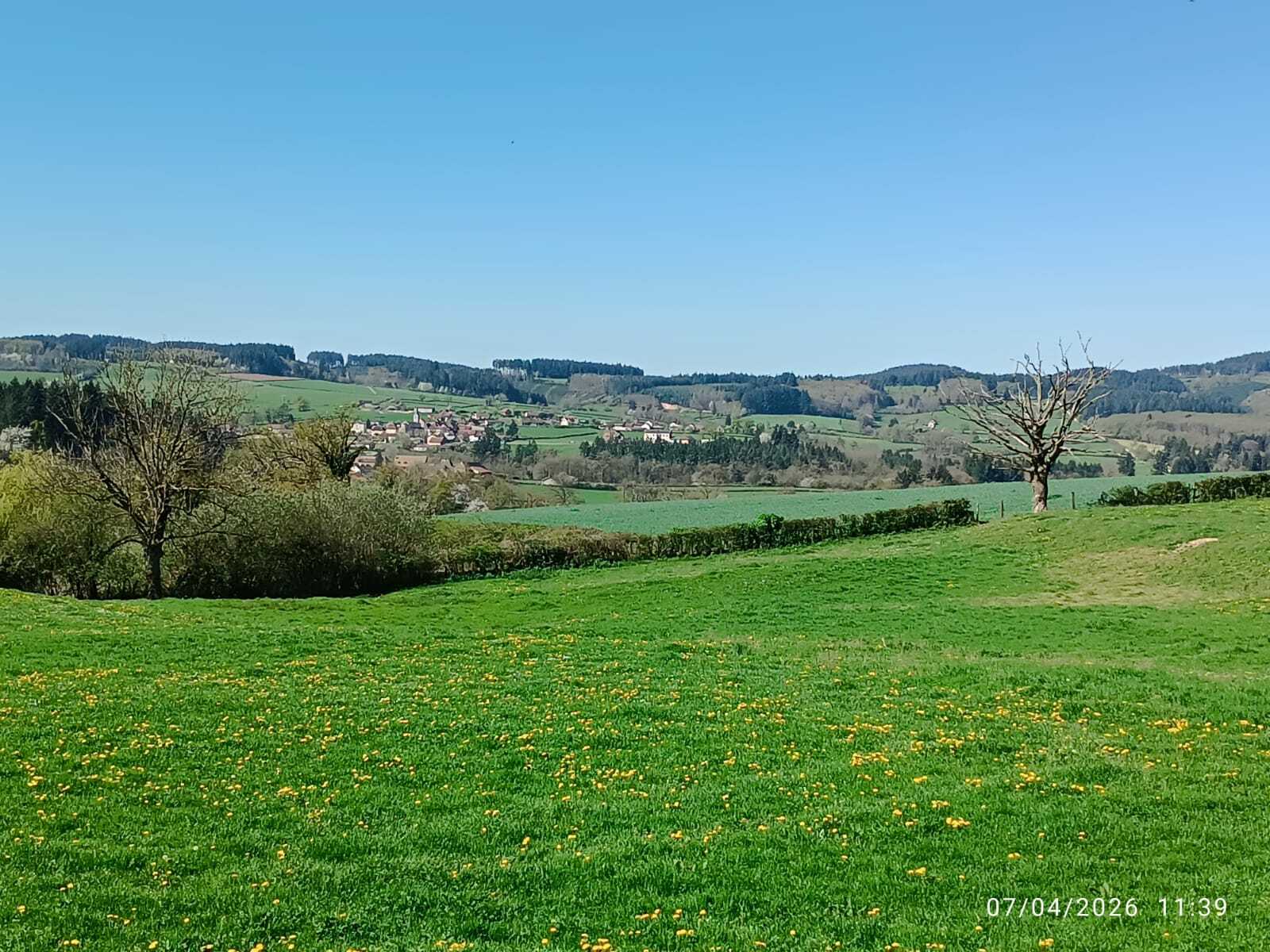 JEUDI 7 MAI : MONT (près de Suin)