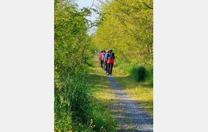 MARCHE NORDIQUE /  PARAY Le Bois des Aisances