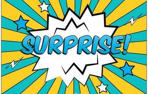 JOURNEE SURPRISE