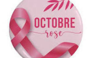 MARDI 21 OCTOBRE 2025 : OCTOBRE ROSE A PALINGES