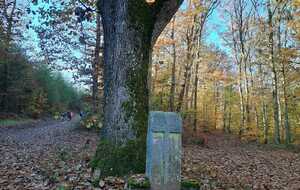 JEUDI 27 NOVEMBRE 2025 : SAINT AGNAN