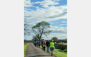 MARCHE NORDIQUE / MOULIN LIRON ET GUEUGNON