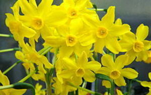 RANDO SANTE DIGOIN GUEUGNON et Plus