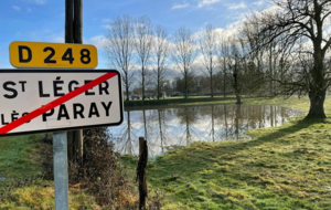 MARCHE NORDIQUE et MARCHE ACTIVE