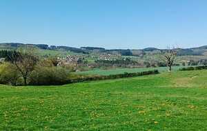 JEUDI 7 MAI : MONT (près de Suin)