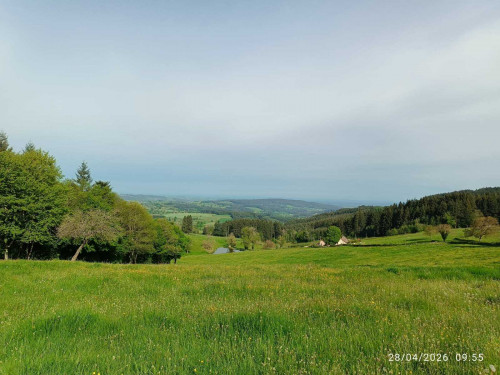JEUDI 4 JUIN : MONTMELARD